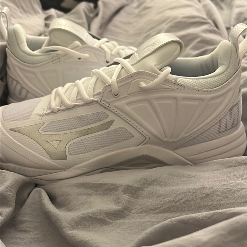 Mizuno Wave momentum 2 volleyball shoes